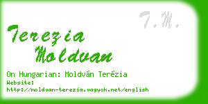 terezia moldvan business card